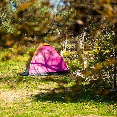 Отель Camping Panorama Ouazzane Экстерьер фото